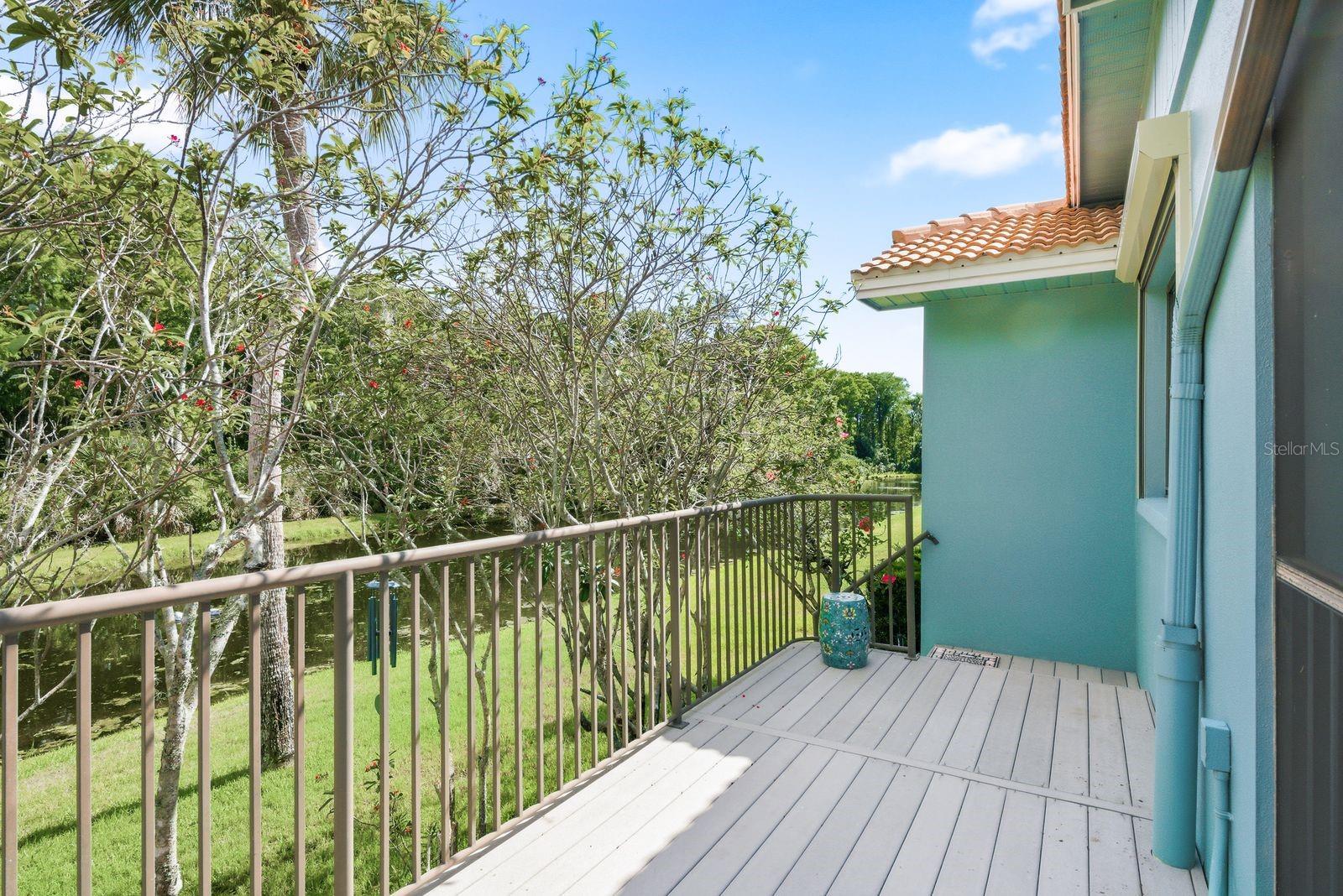 Back Deck and Yard
