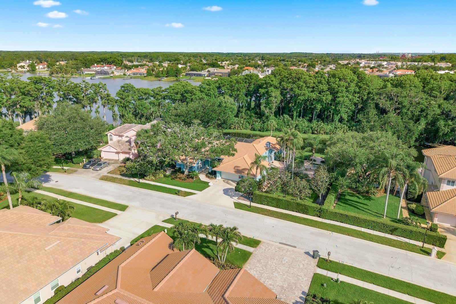 Aerial Looking East - Lake Tarpon in Background