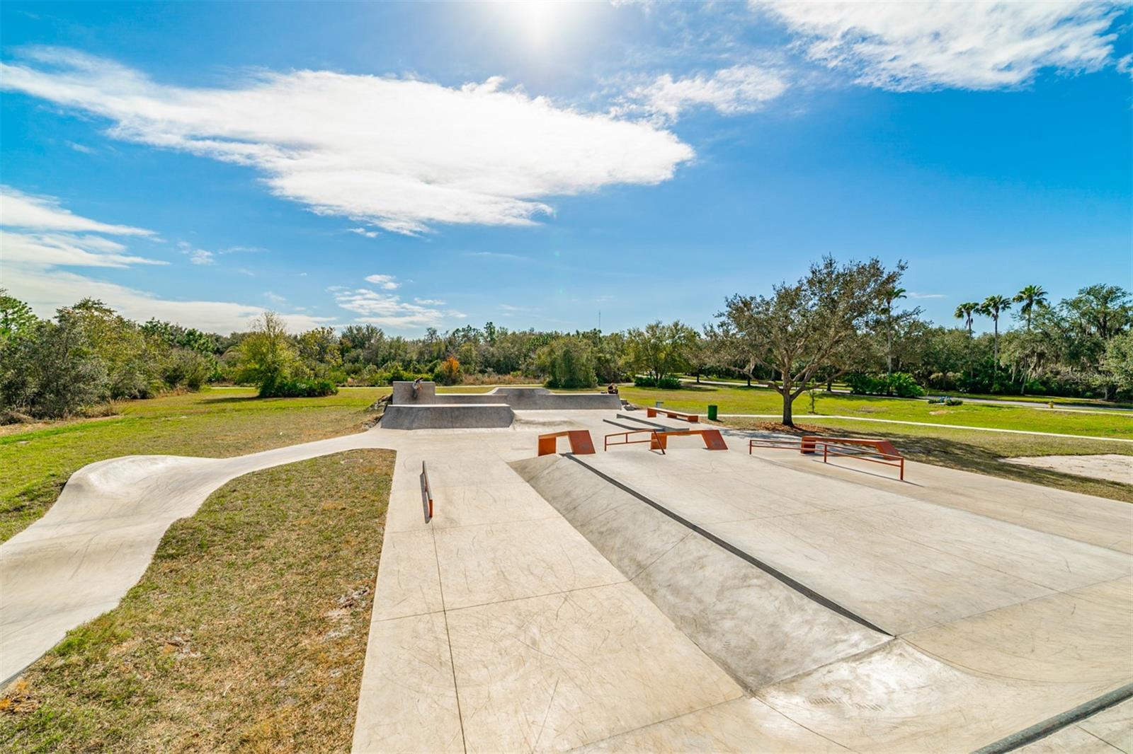 The Skate Park