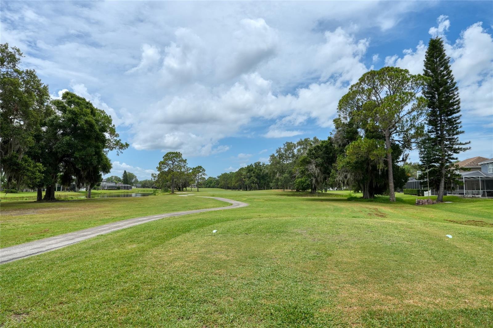 View of the course