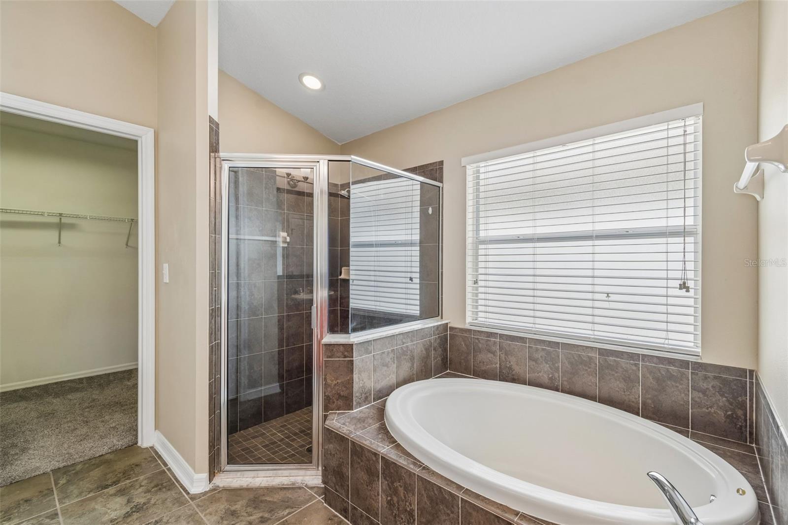 Soaking tub and shower stall