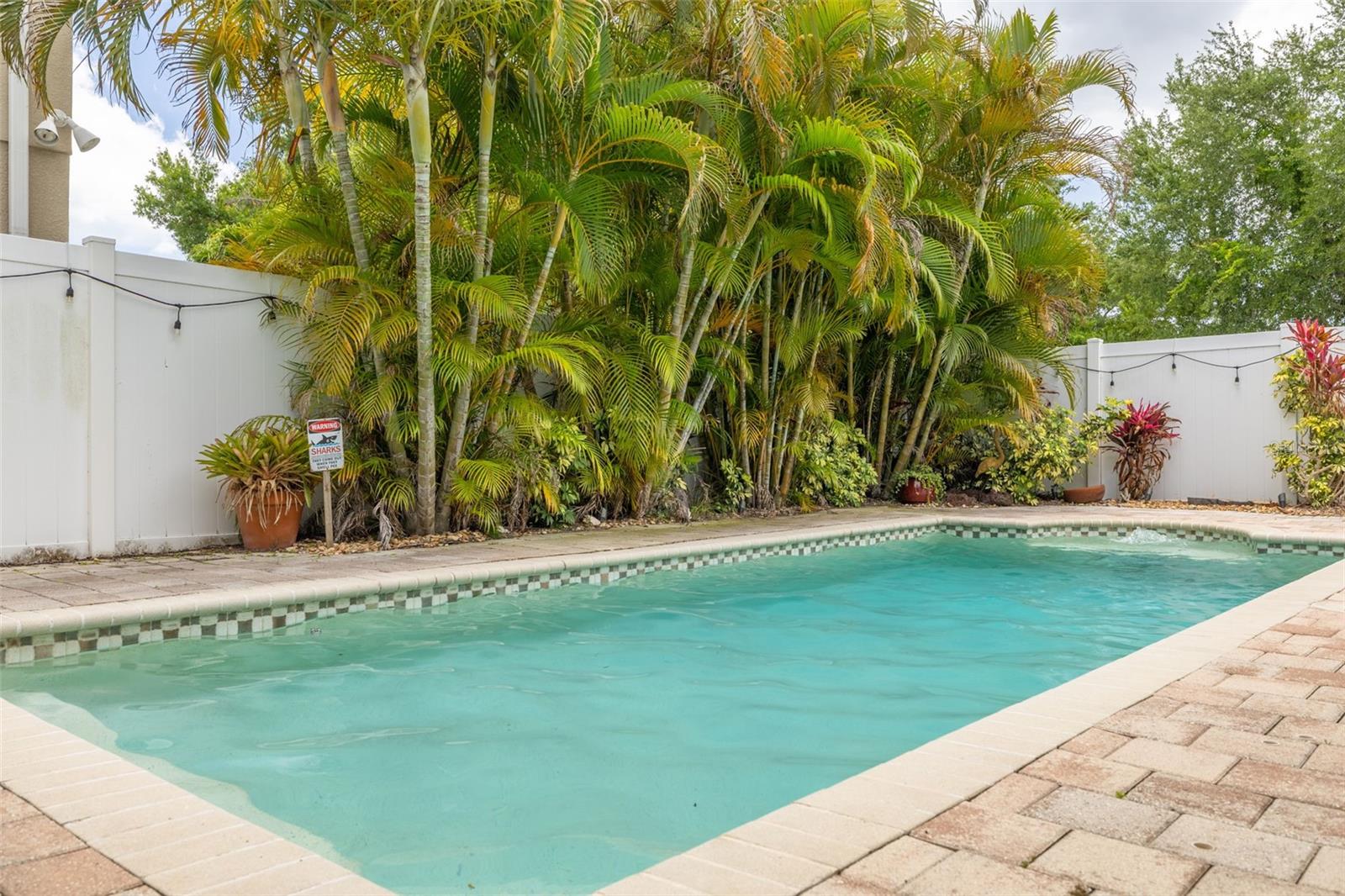 Saltwater Pool