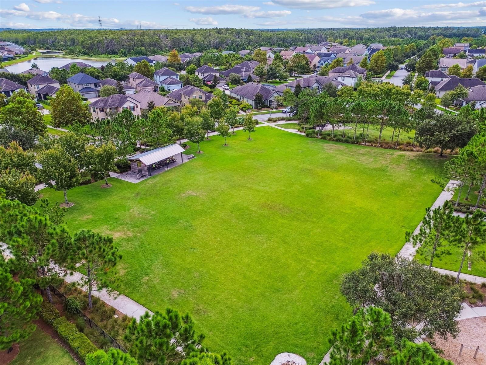 Open Community Field.