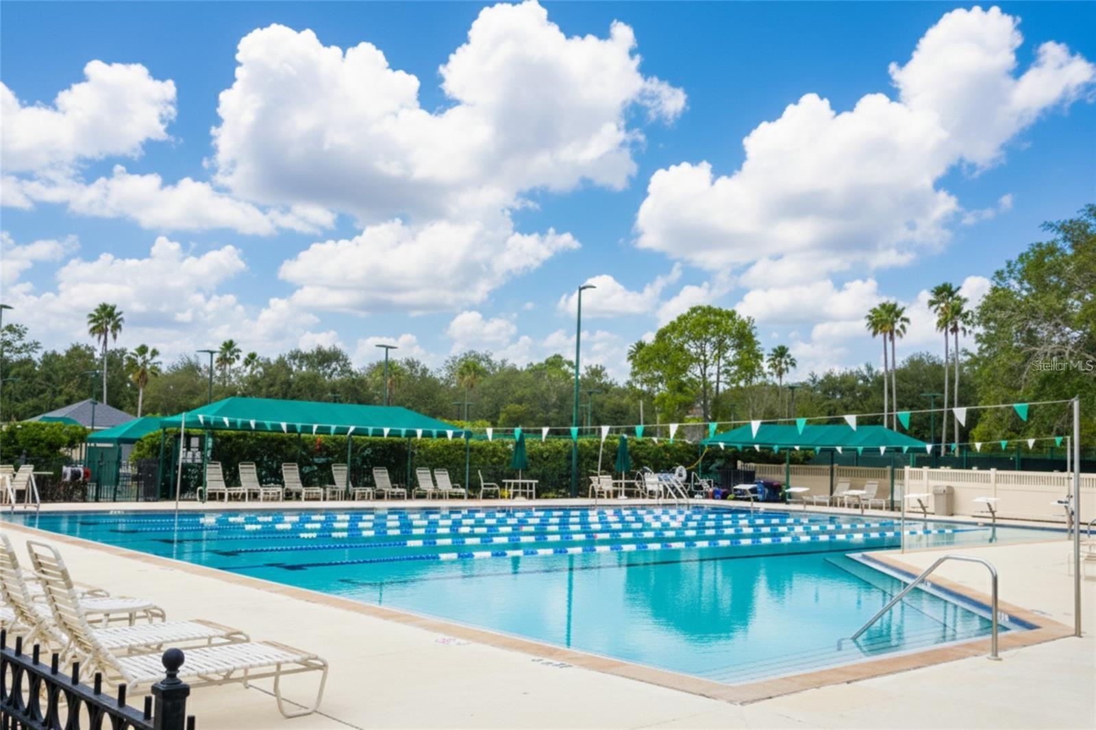 Lap Pool