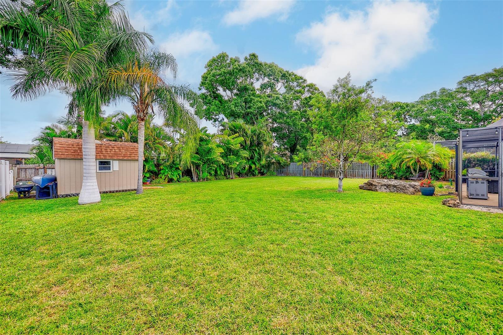 Large Backyard