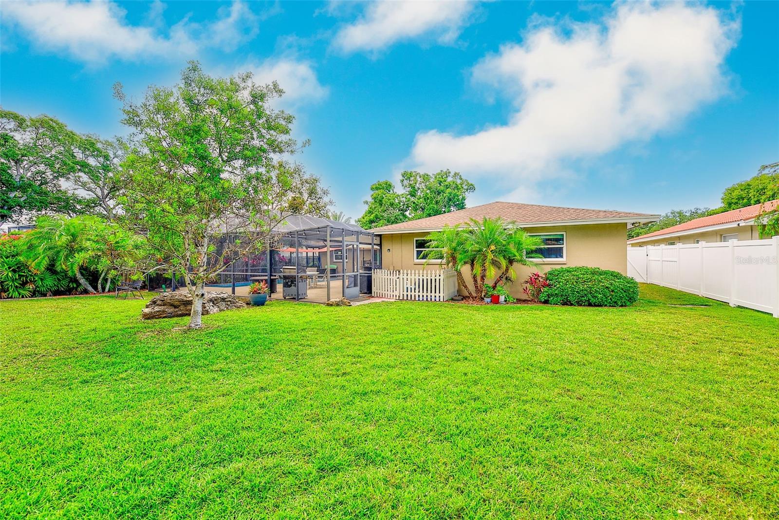 Large Backyard