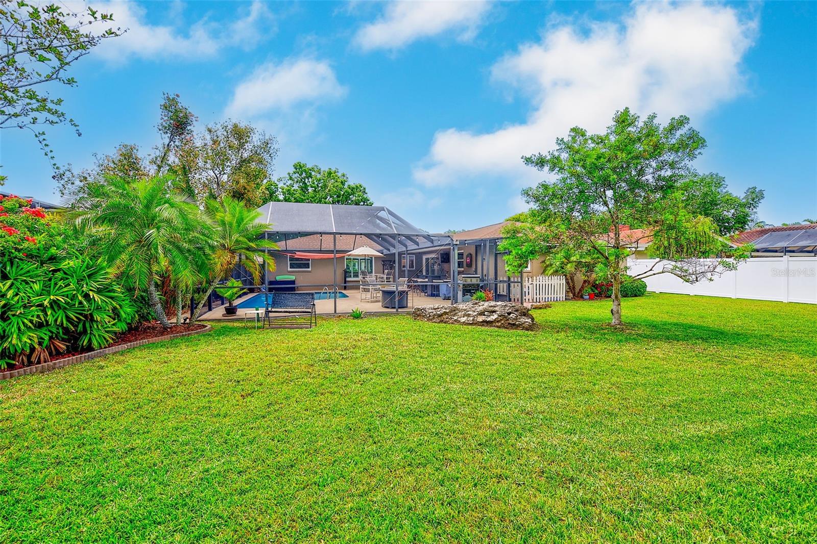 Large Backyard