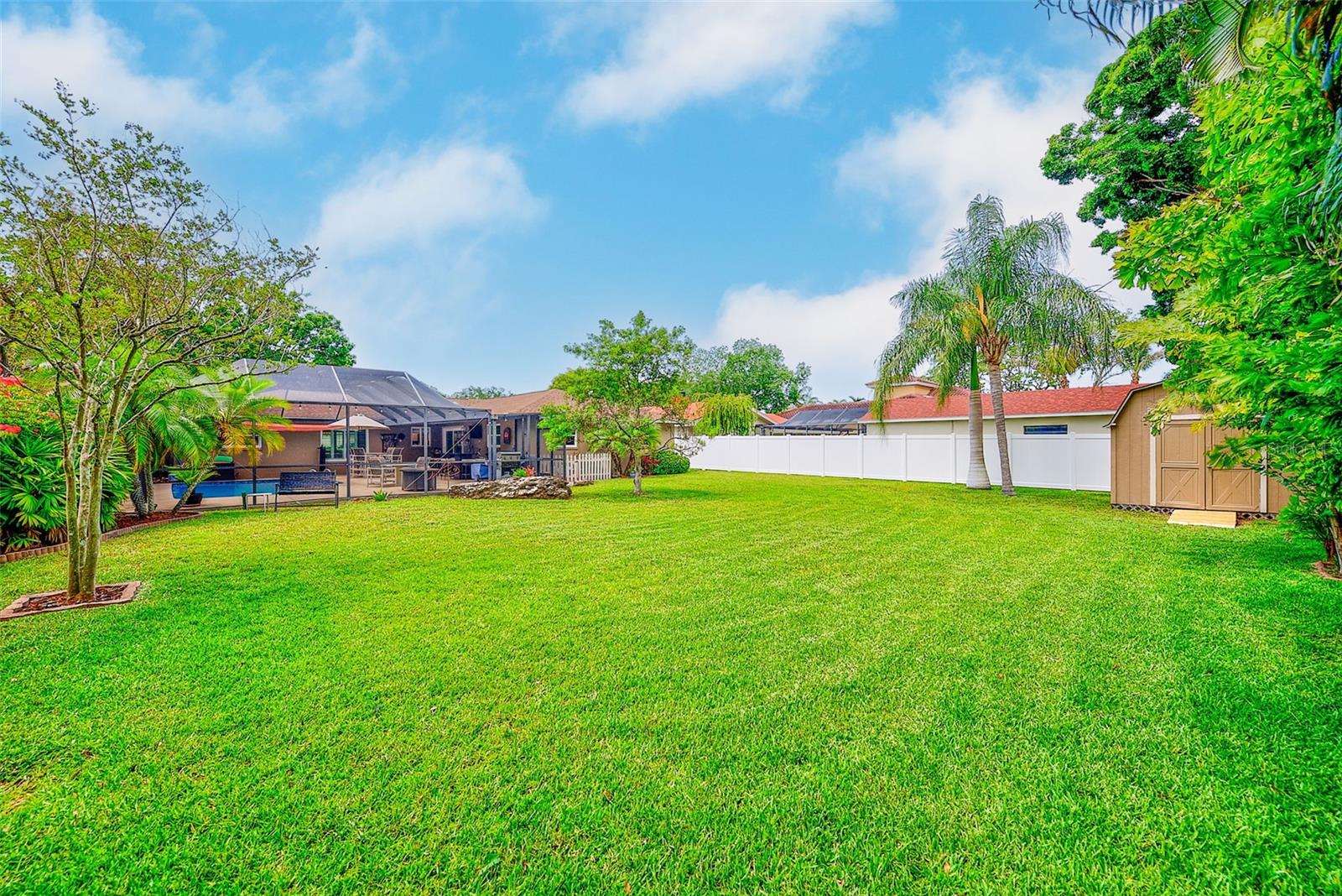 Large Backyard