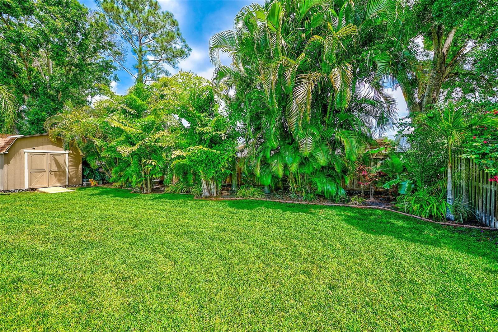Large Backyard