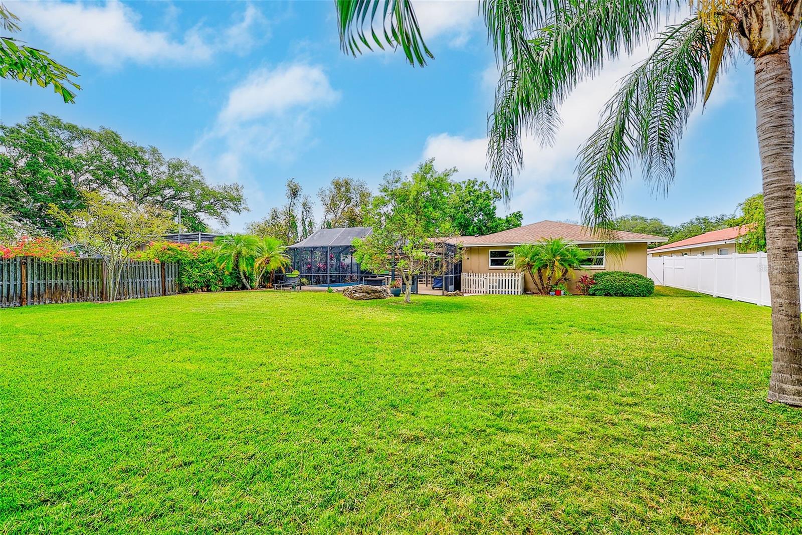 Large Backyard