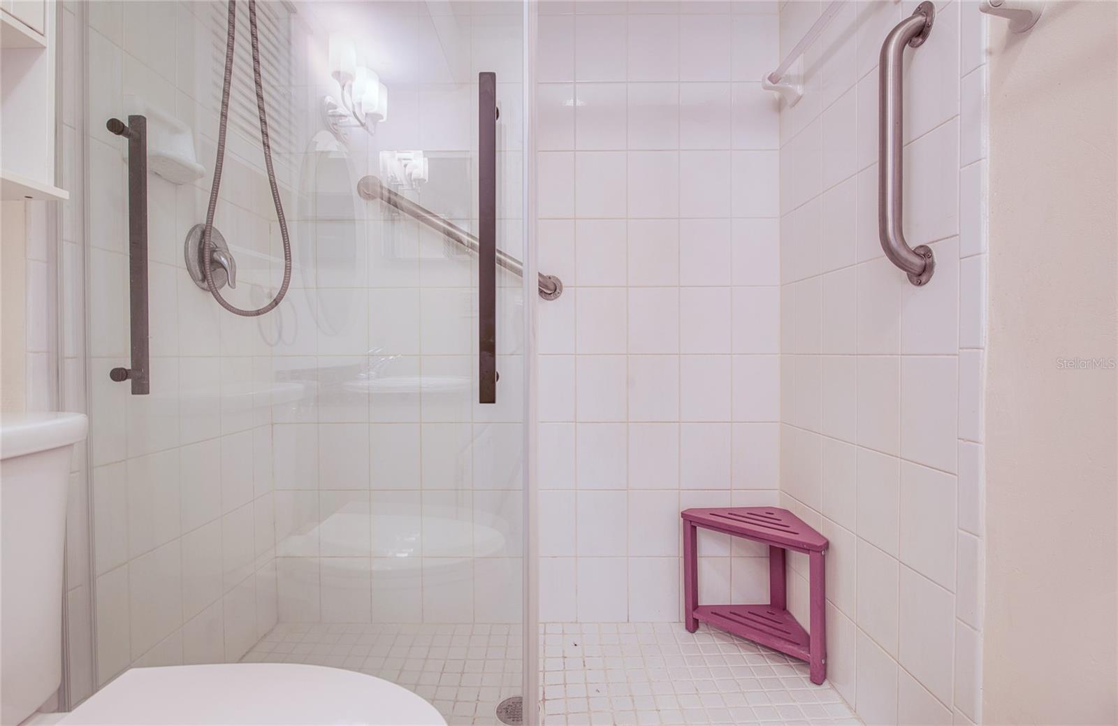 Glass Shower Door