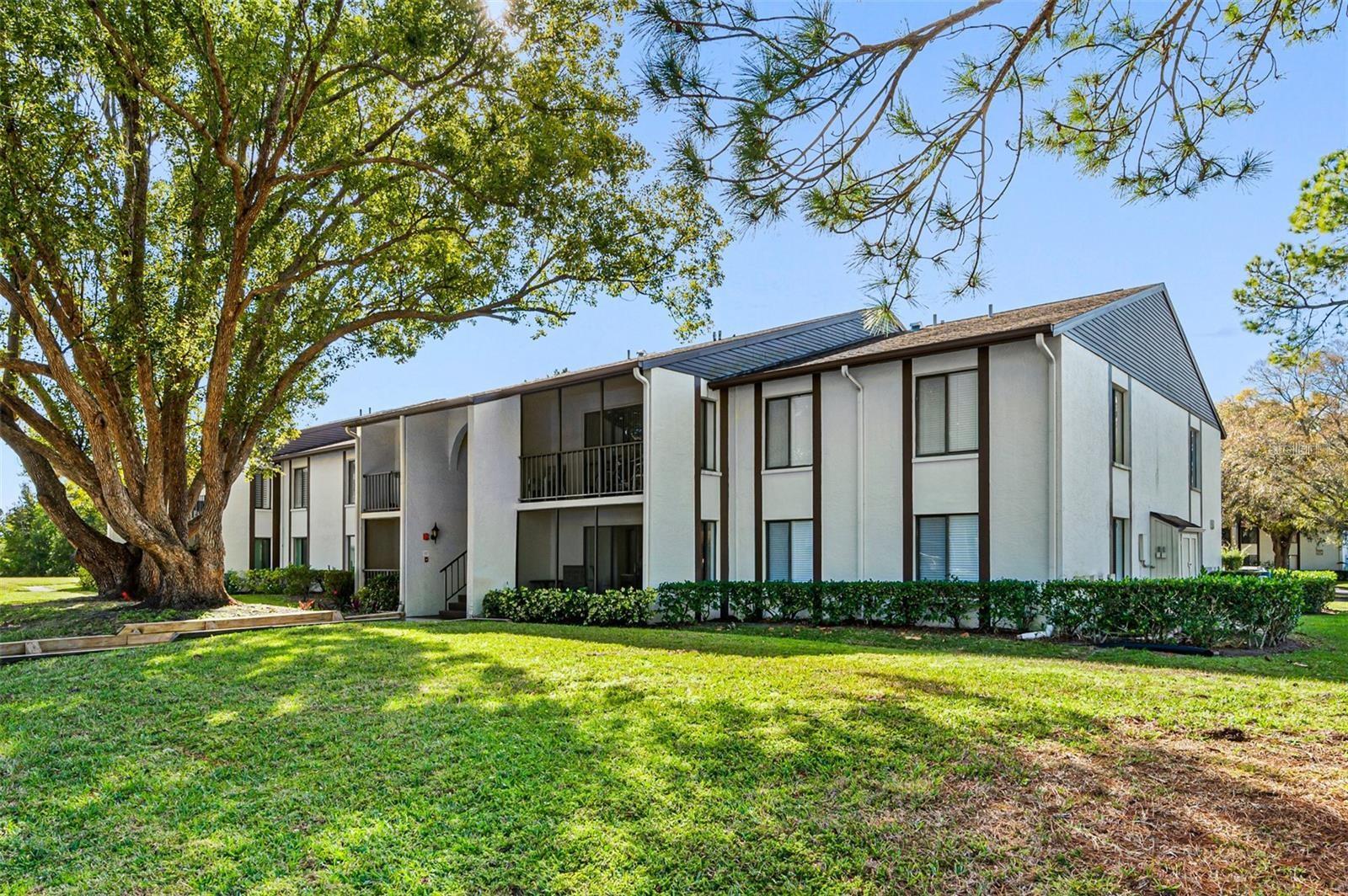 Pine Ridge is Palm Habor's highly desirable 55+ pet-friendly community~