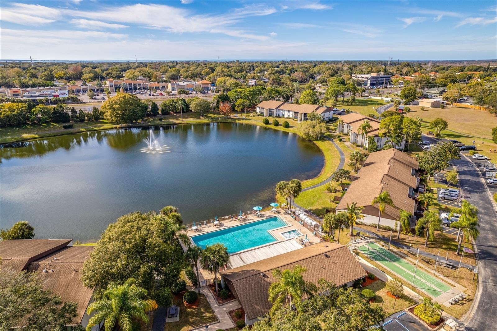 Community pool, pond, clubhouse, and shuffleboard~