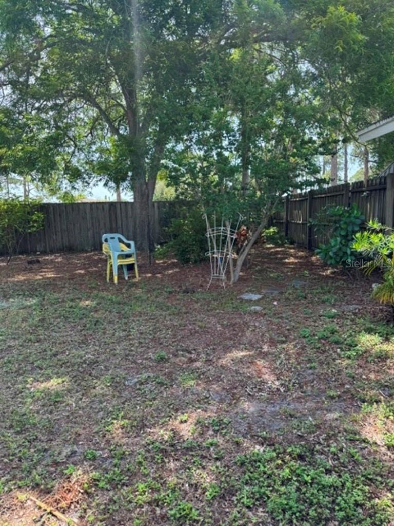 Exterior back yard