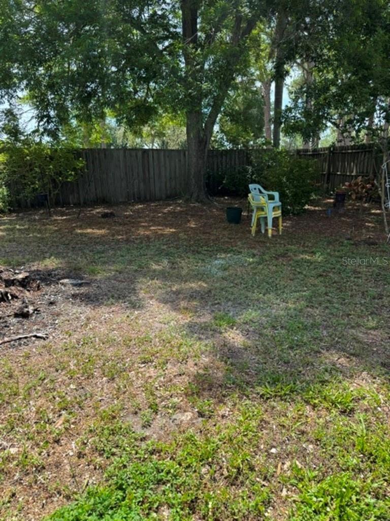 Large back yard