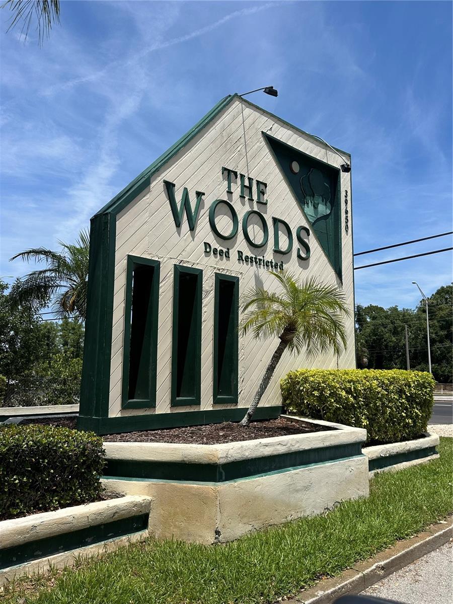 The Woods