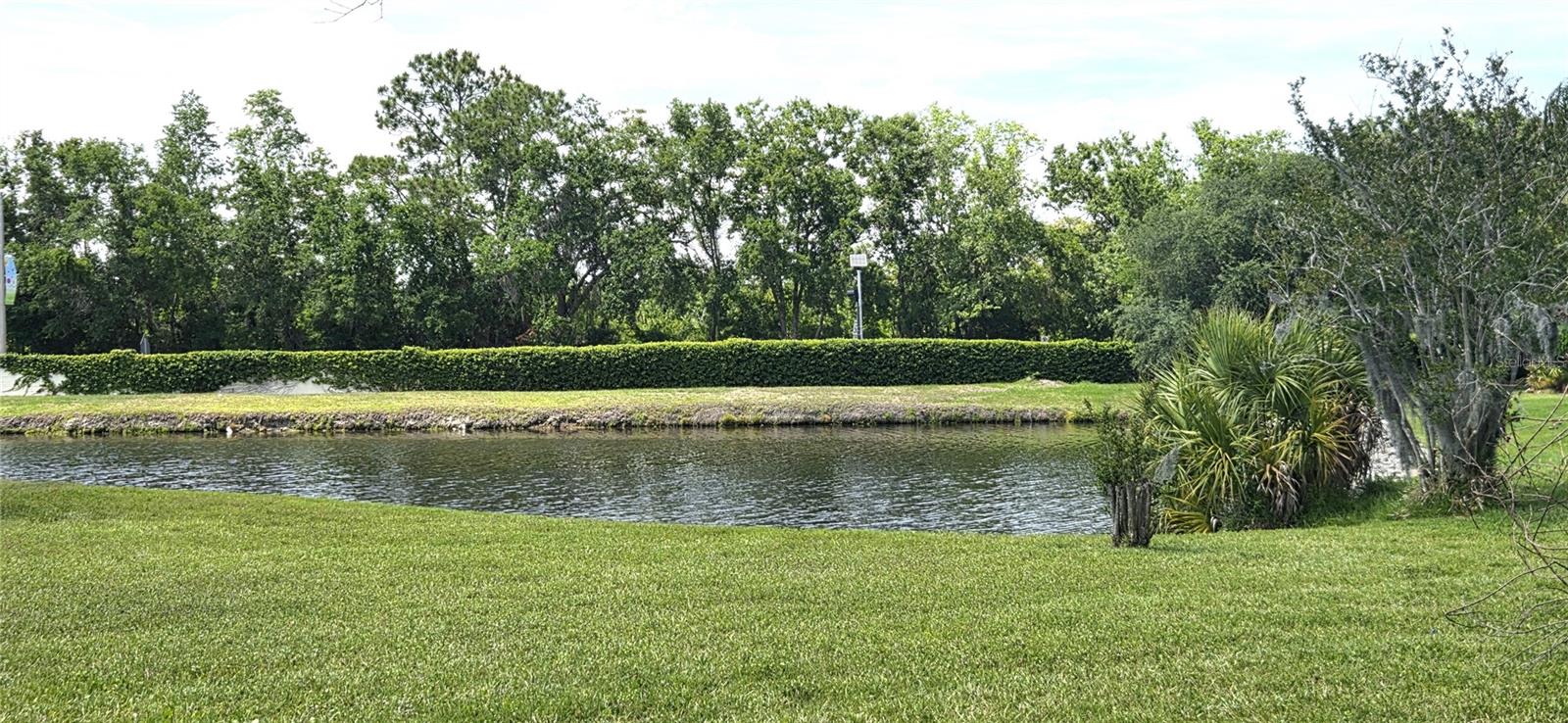Pond view from pool lanai