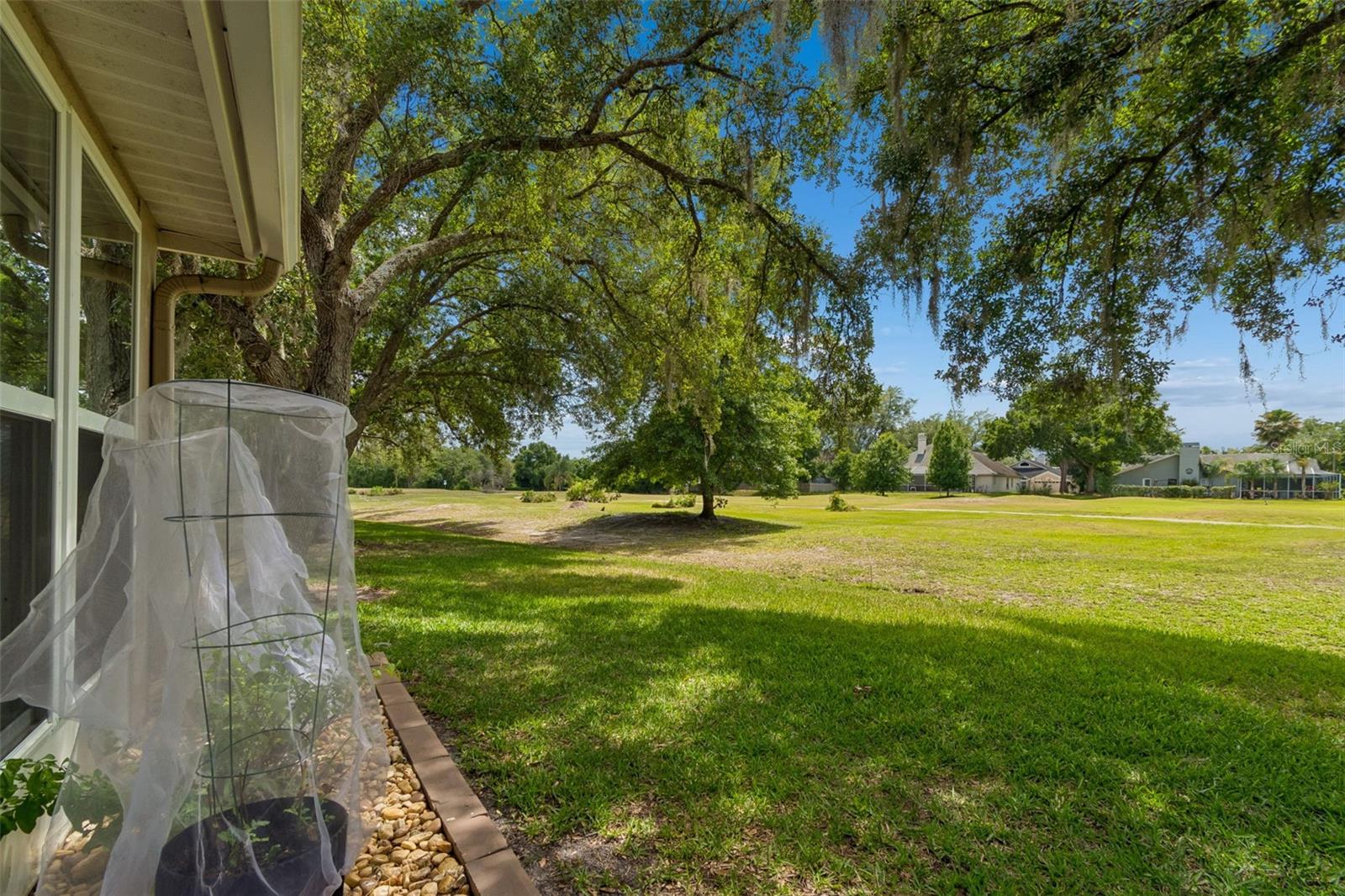 View of Golf Course