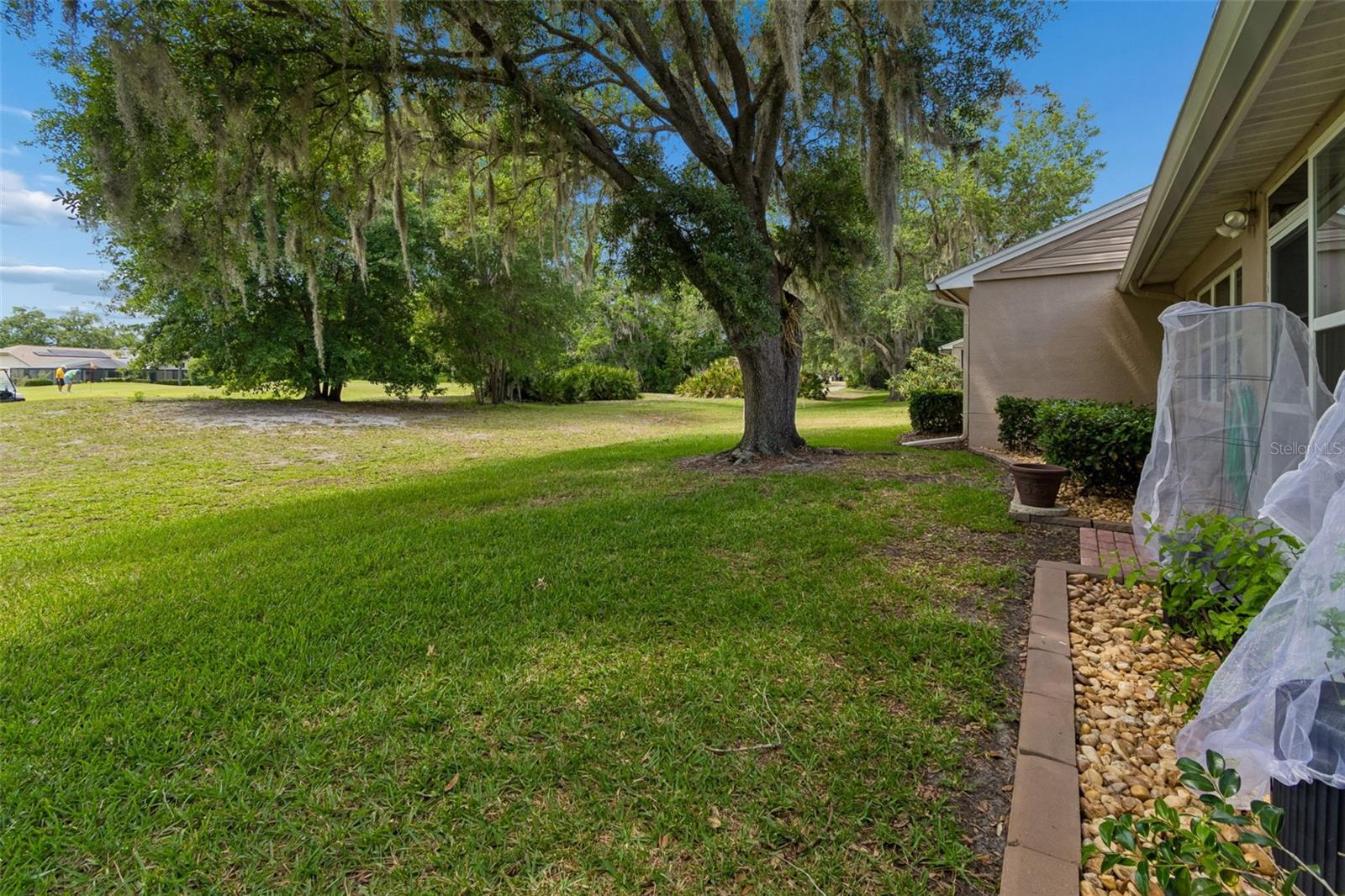Another view of Backyard