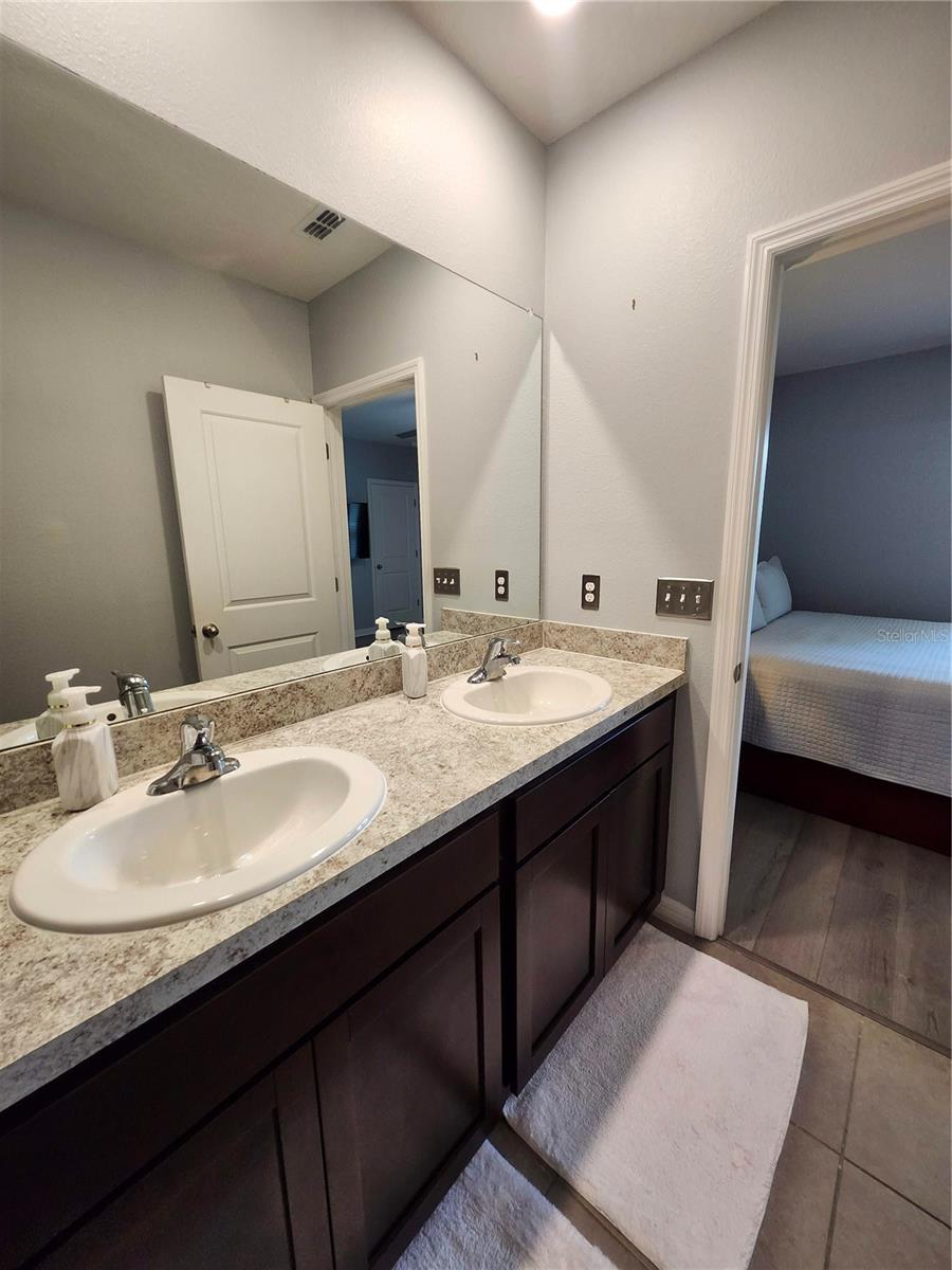 dual sinks