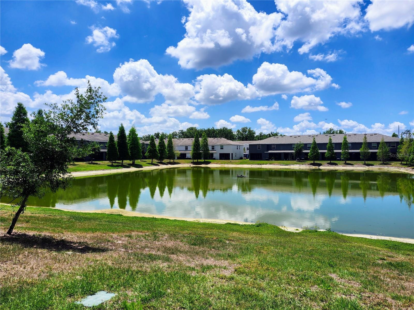 The District grounds