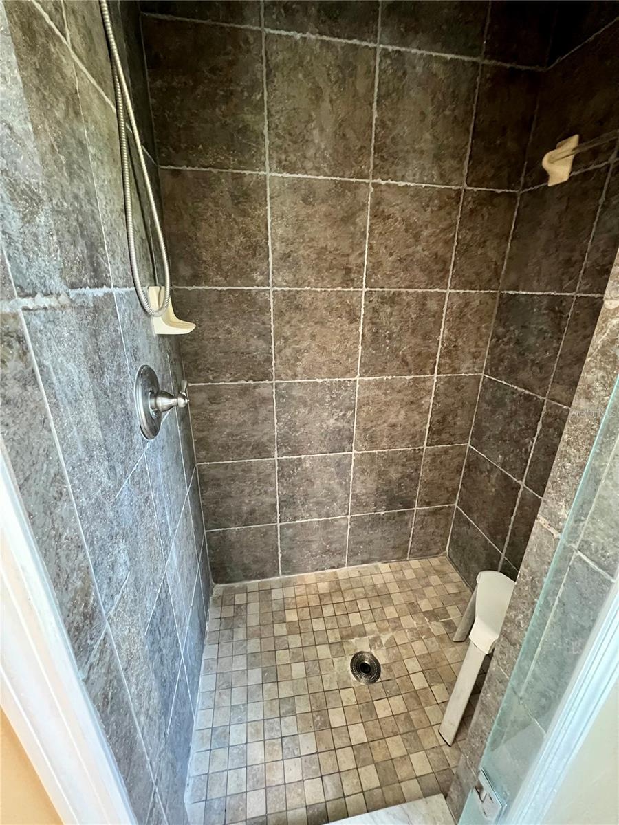 Primary Shower