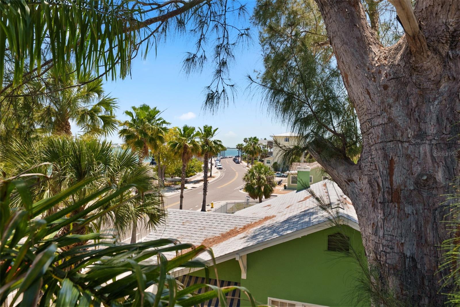 View from Family Room