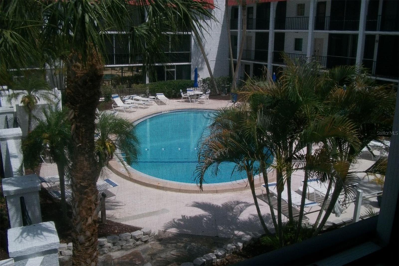 Standing in screen porch looking at community pool