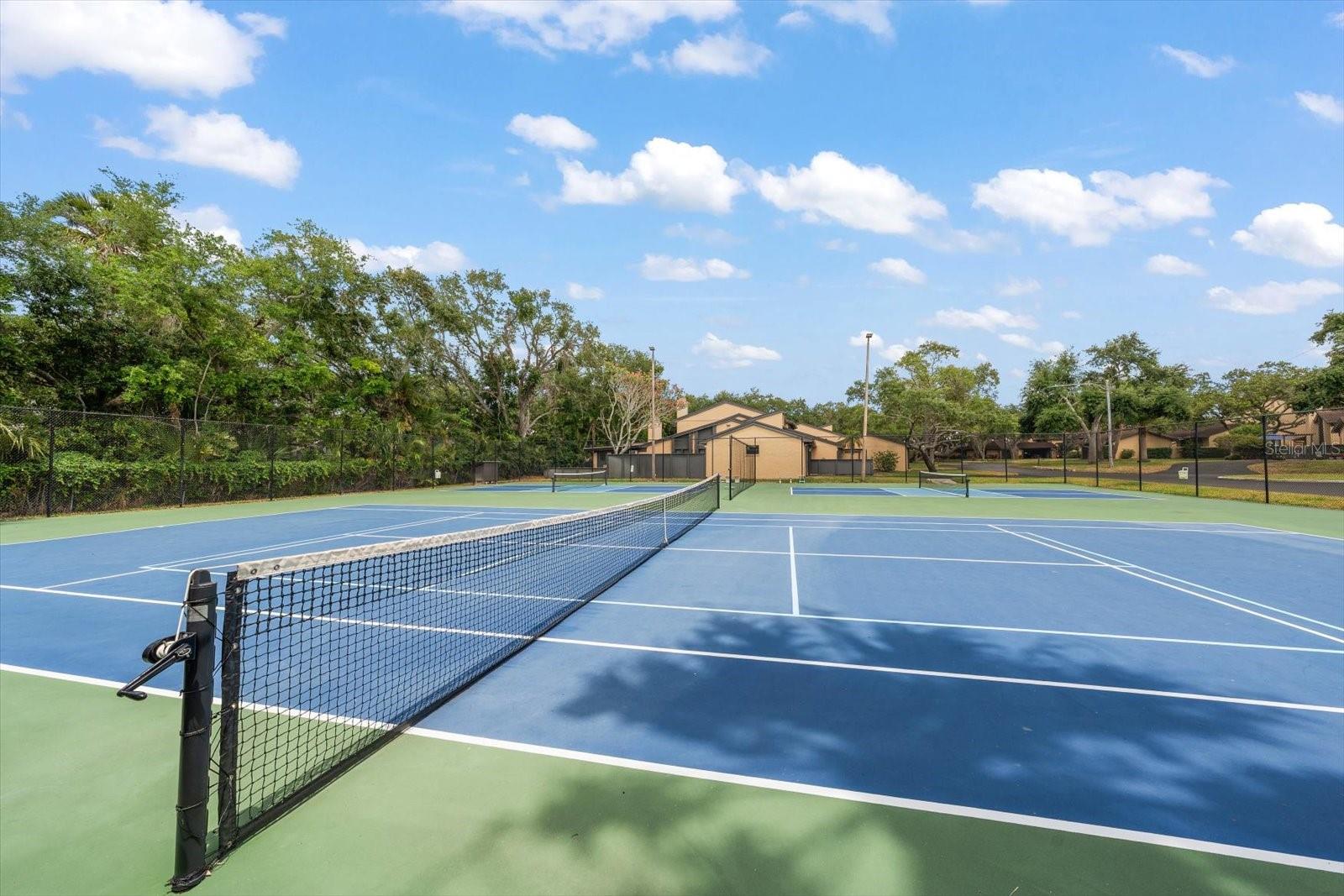 Pickleball anyone?