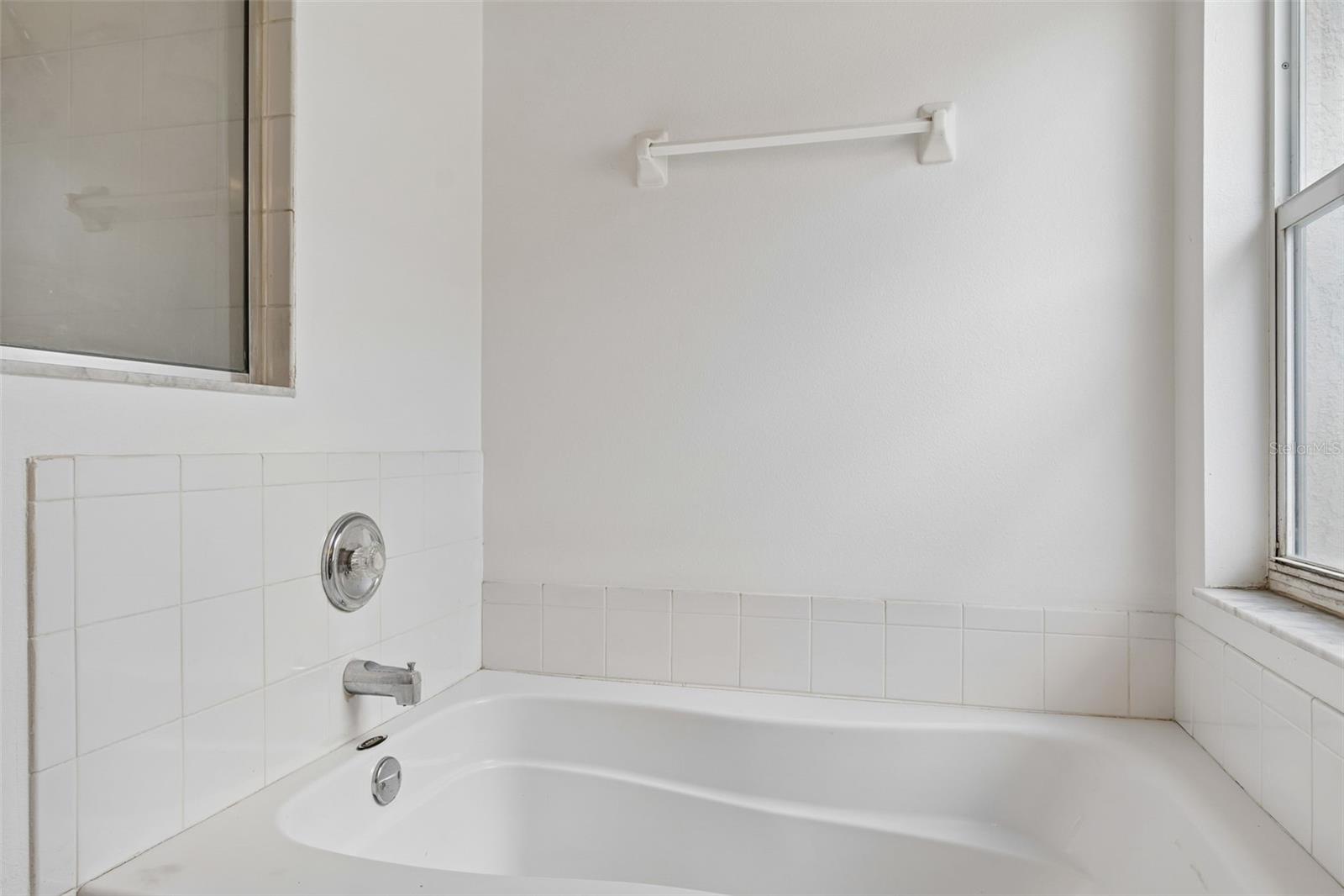 Primary Bathroom Garden Tub