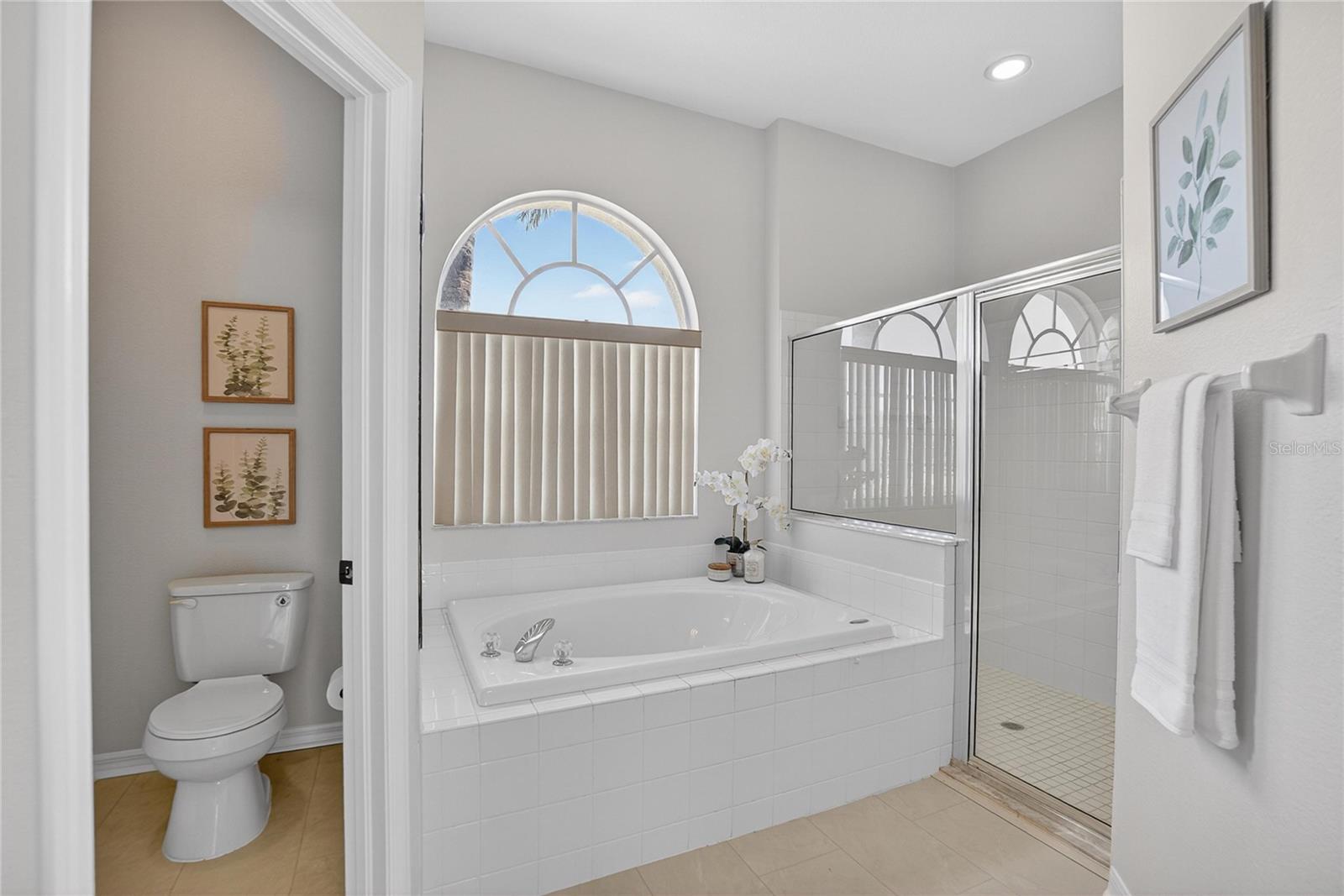 A garden tub and separate shower are in this HUGE primary bathroom