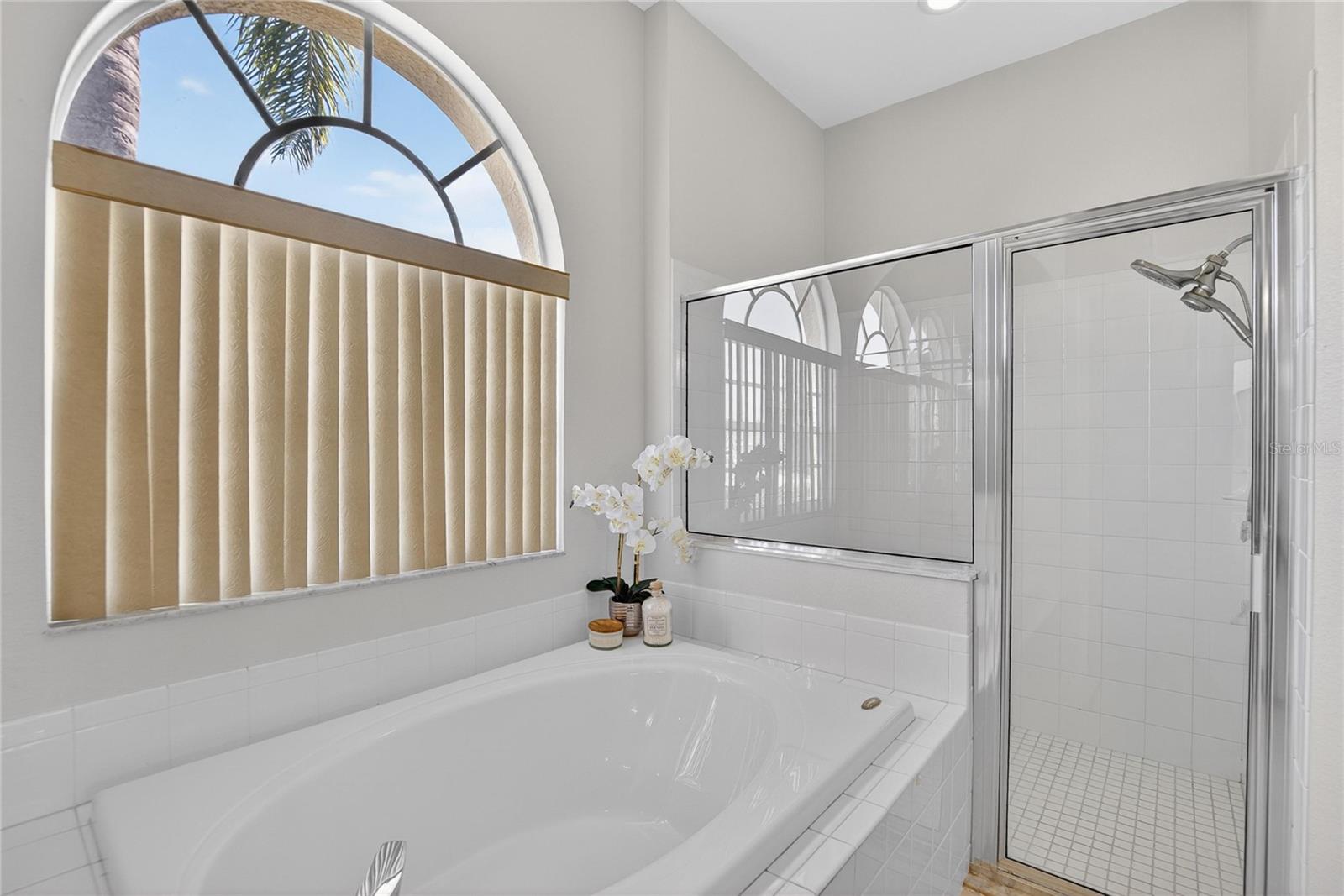 Garden tub and separate shower