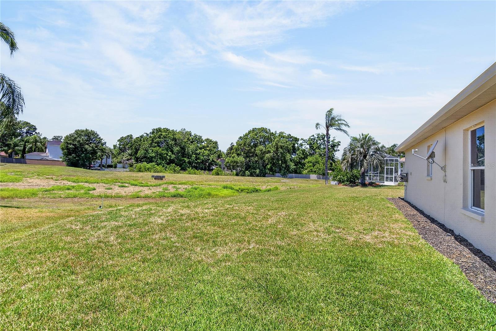 Back yard