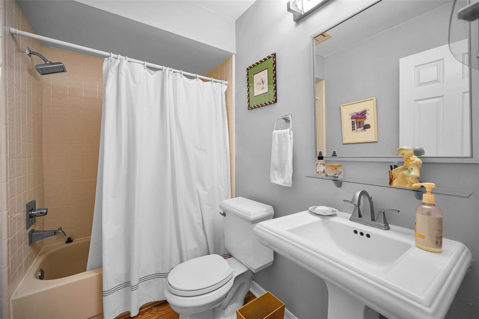 Downstairs hall bath