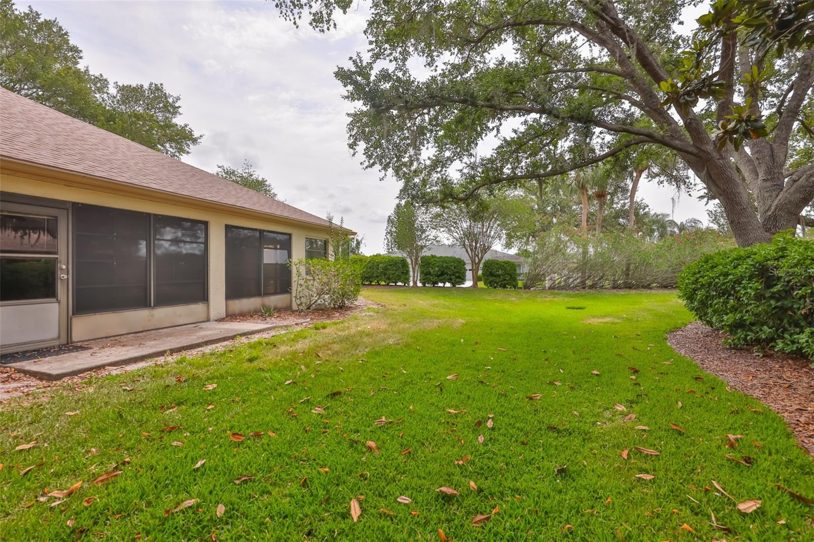 Large yard