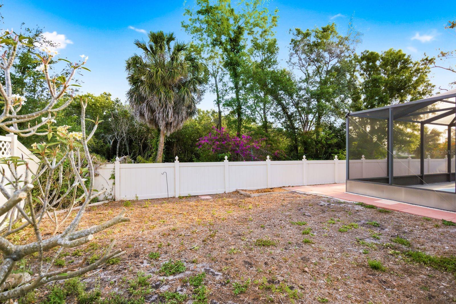 Side Yard