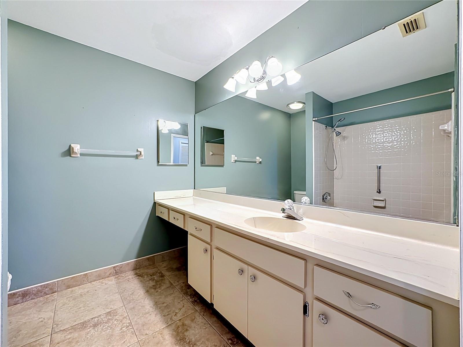 Guest Bath
