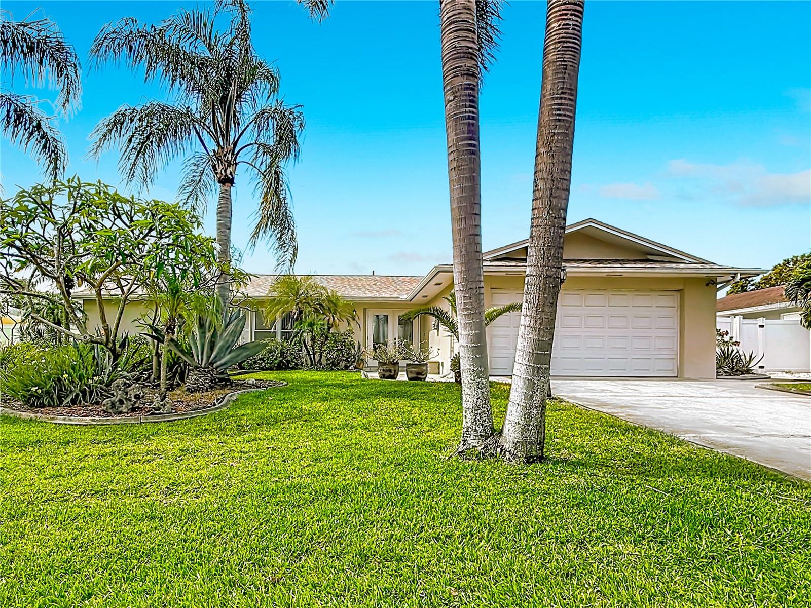 Lush St. Augustine grass