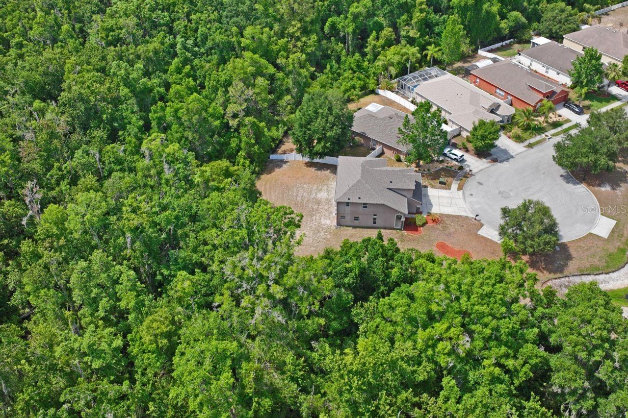 W7885596