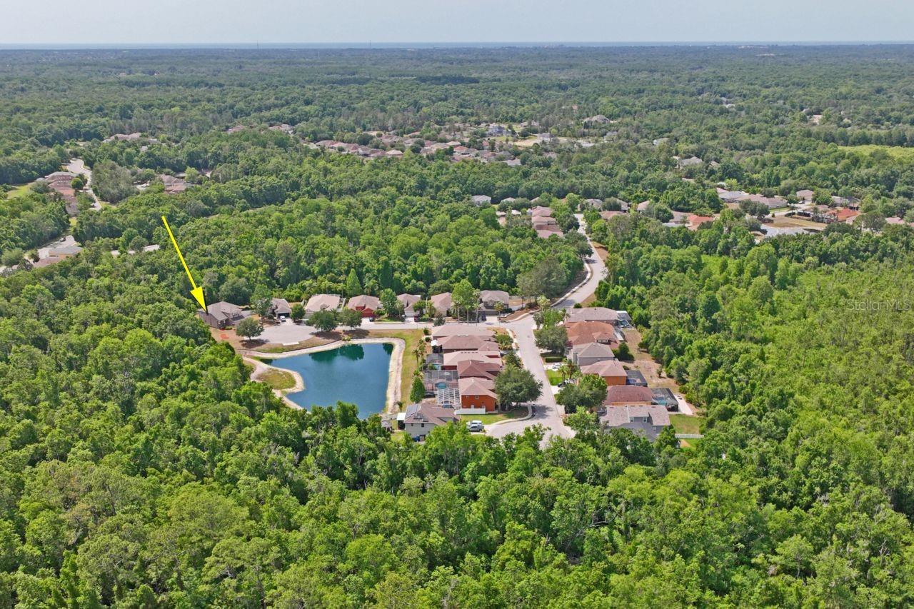 W7885596