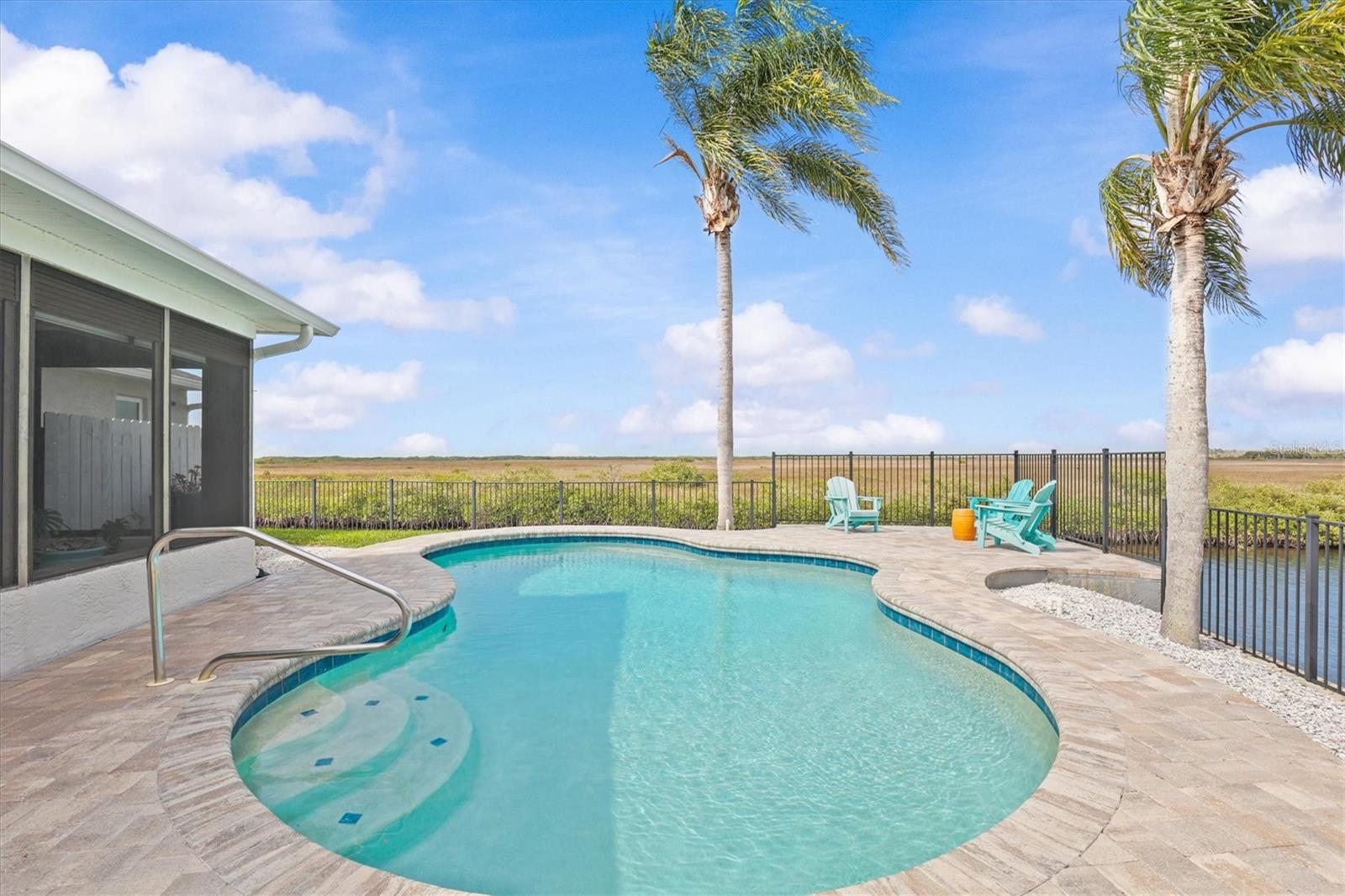 Imagine Swimming with this View