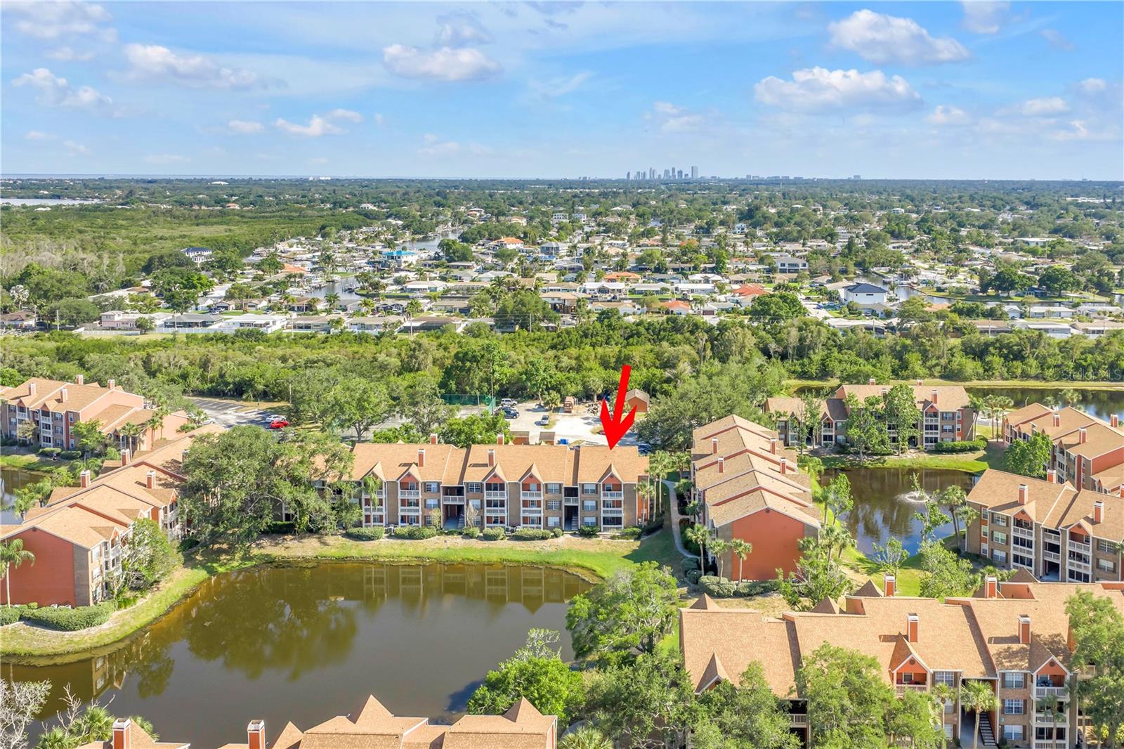 Prime Location Near Everything St. Pete and Tampa Offer