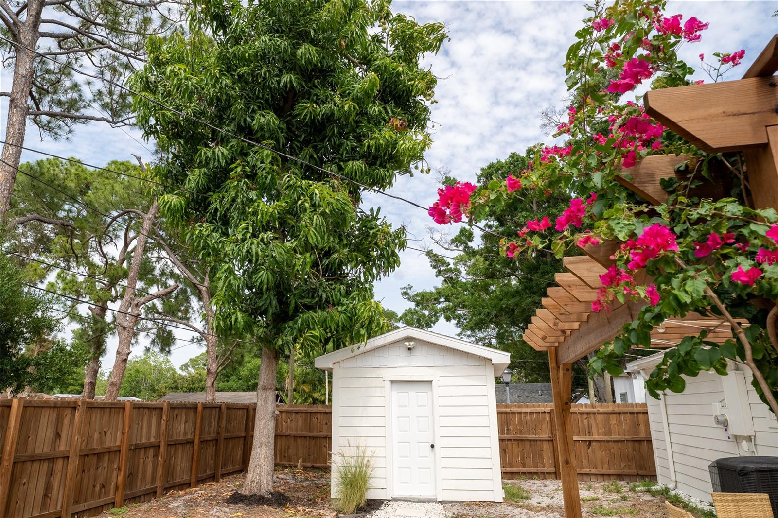 Large finished shed with electric & air conditioning beside large mature mango treee
