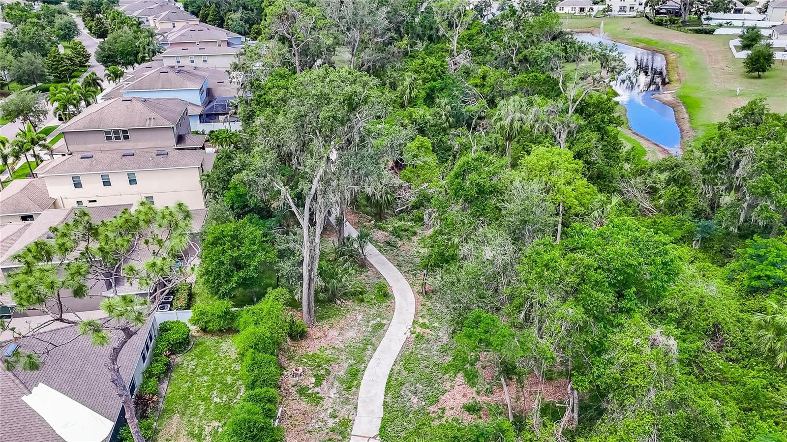 walking trail