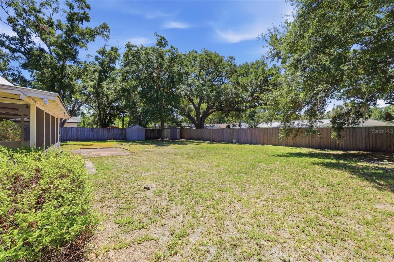 Established neighborhood with large shade trees