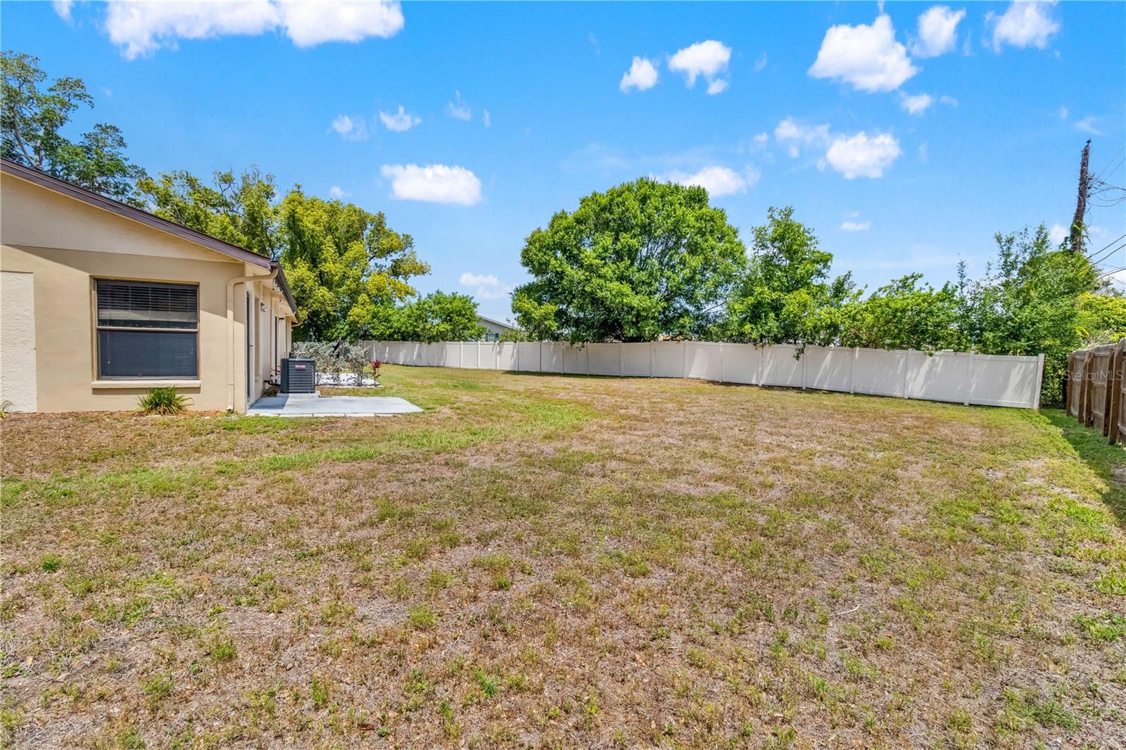 Back yard