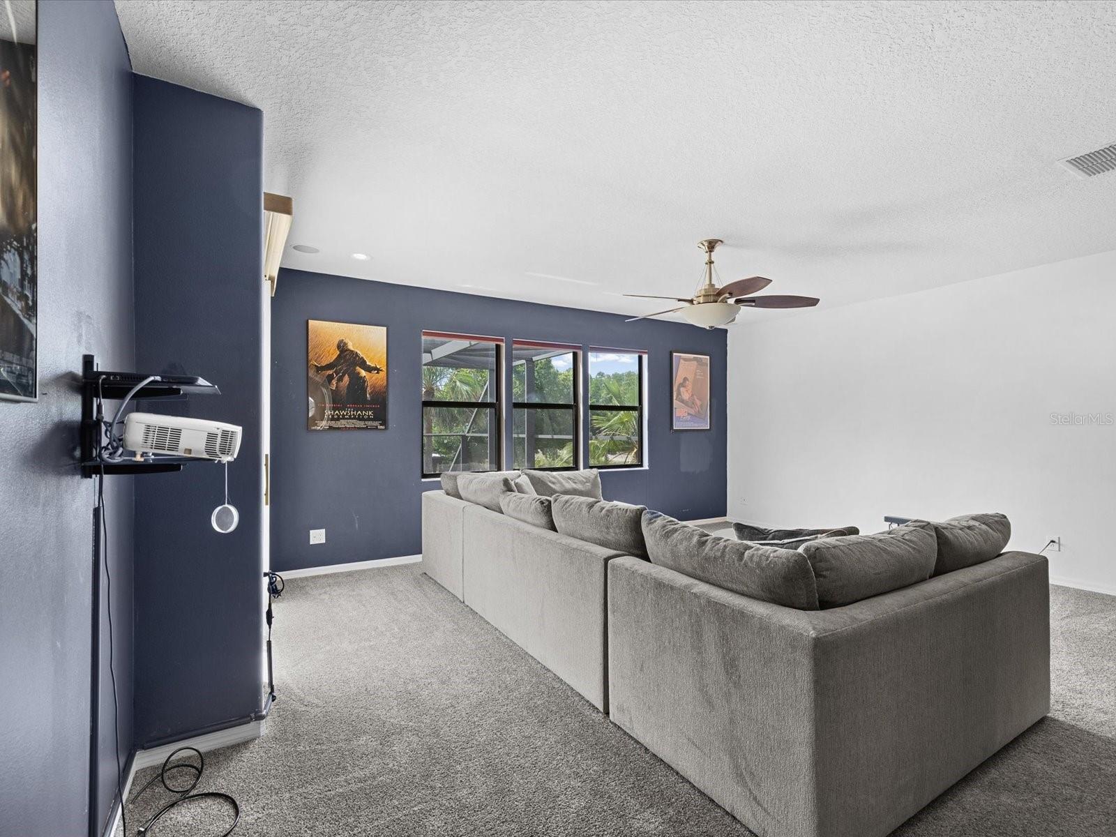Theatre Room/Bonus Room