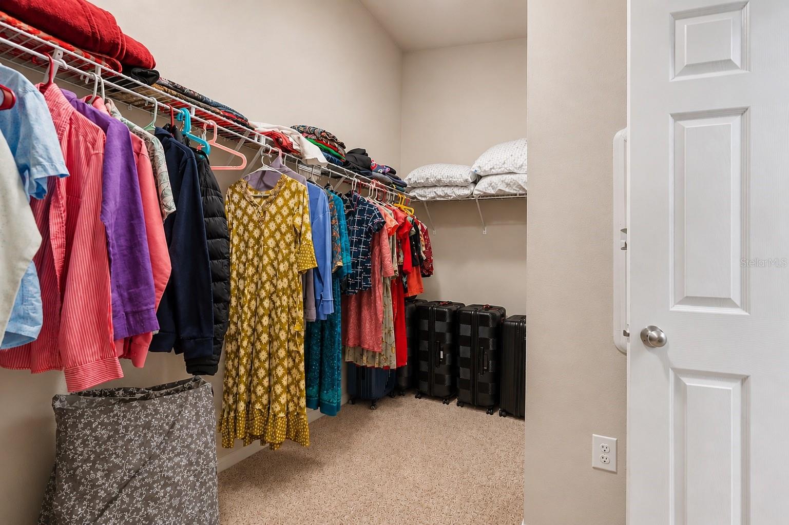 14919 Sterling Spur Ave, Lithia FL 33547 - Primary Walk-In Closet