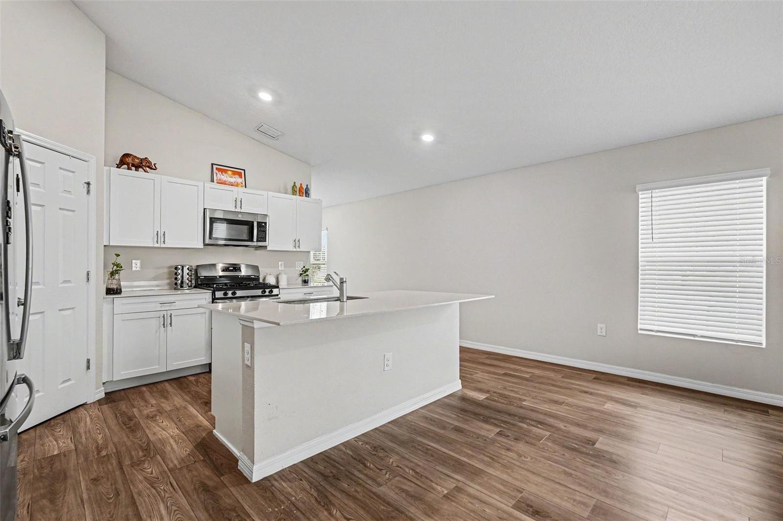14919 Sterling Spur Ave, Lithia FL 33547 - Kitchen