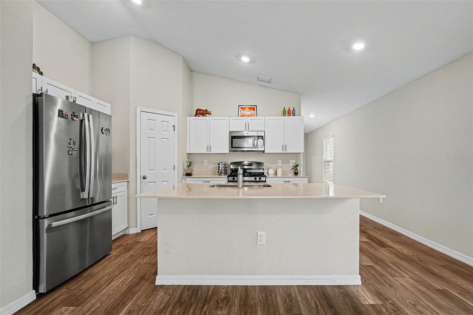 14919 Sterling Spur Ave, Lithia FL 33547 - Kitchen